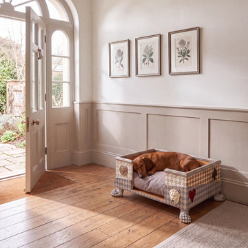 Casita Colette con cojín y perro, integrada en un ambiente luminoso y elegante.