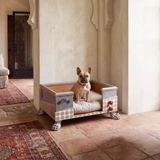 Casita Divina con perro, integrada en un interior sereno de inspiración mediterránea.